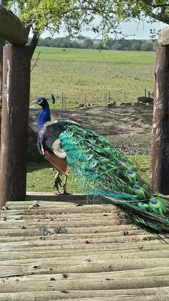 Mal Abrigo Estancia Turistica Finca Piedra المظهر الخارجي الصورة